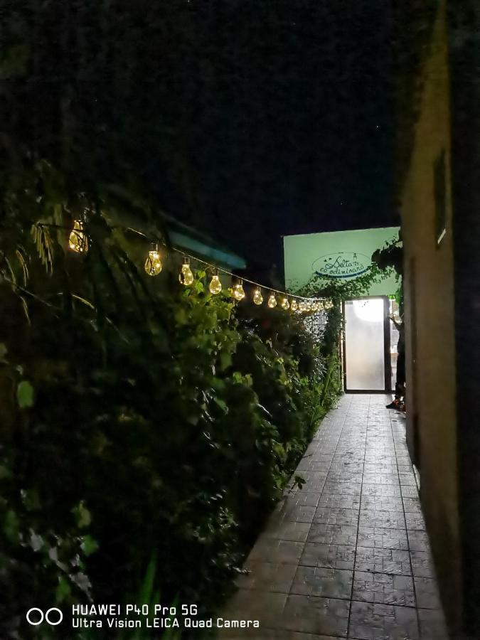 Delta Ca Odinioara Hotell Sulina Exteriör bild